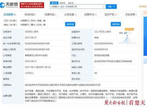 汽车成为 智能手机 北美试验成果用到武汉