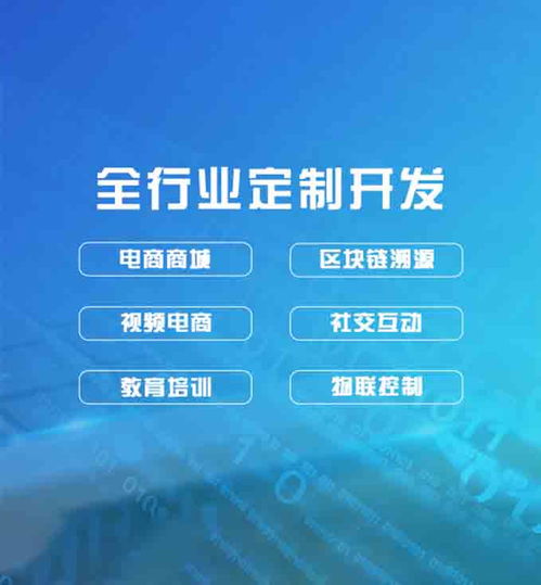 生产软件定制与App开发费用解析