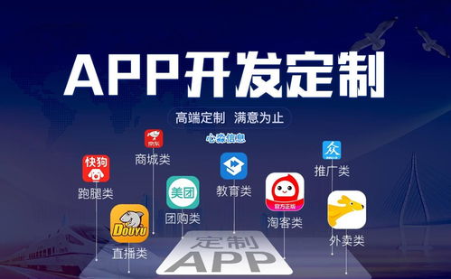 软件开发 模板系统 vs 定制方案的选择策略