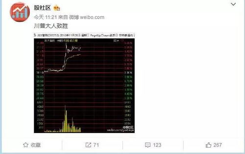 特朗普胜选与全球市场动荡 黄金投资与软件开发机遇解析